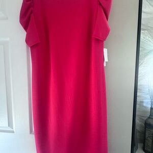 Women's Hot Pink Sheath Dress